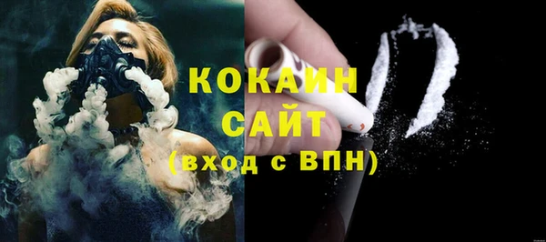 прущие грибы Волосово